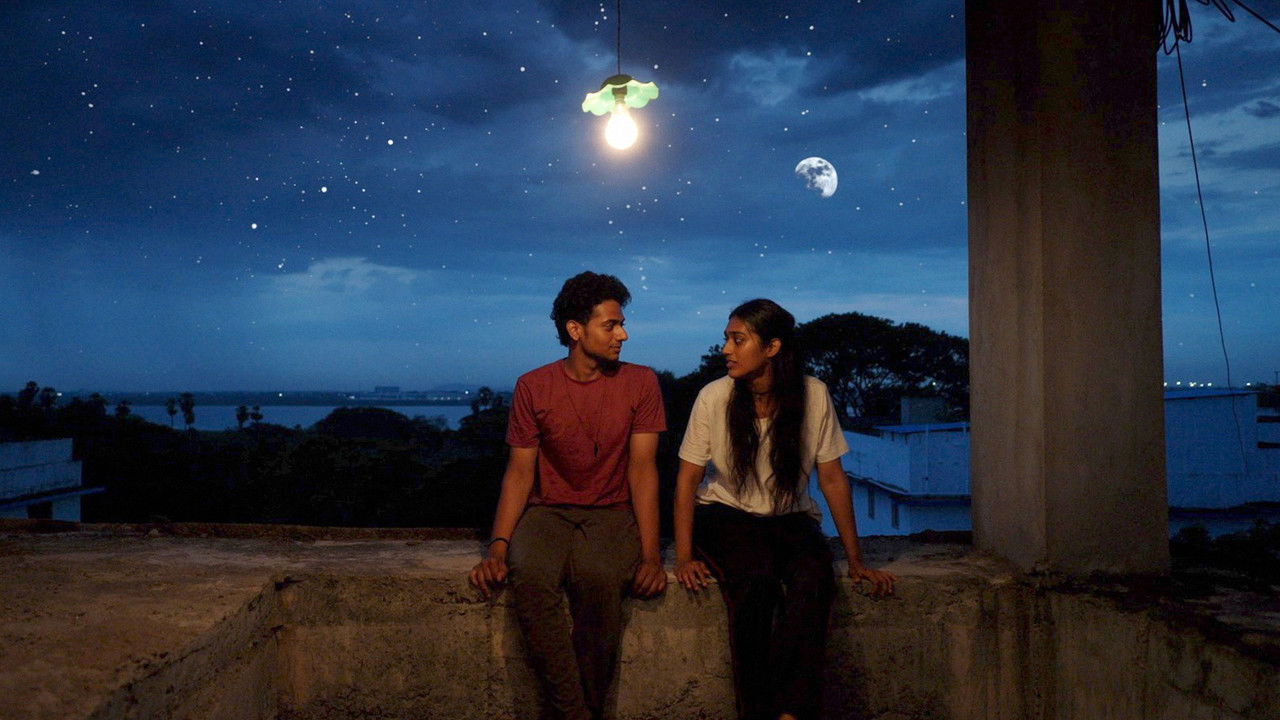 LBW: Love Beyond Wicket: 1×4